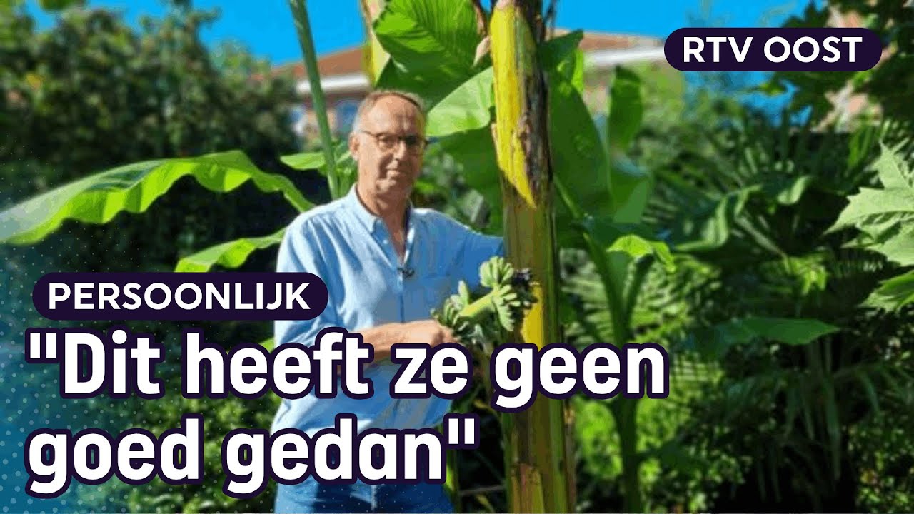Toon oogst zijn bananenboom: Is massa écht kassa? | RTV Oost