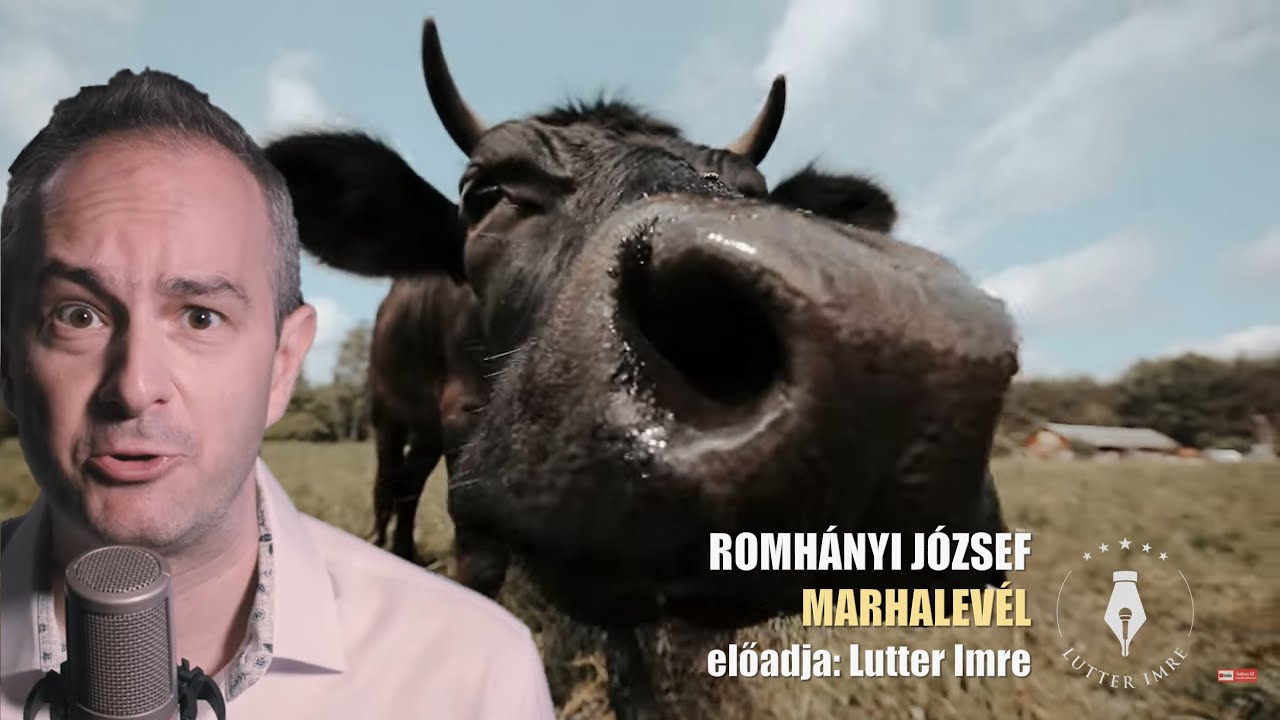 ROMHÁNYI JÓZSEF: Marhalevél / Lutter Imre /VERS MINDEGY, KINEK