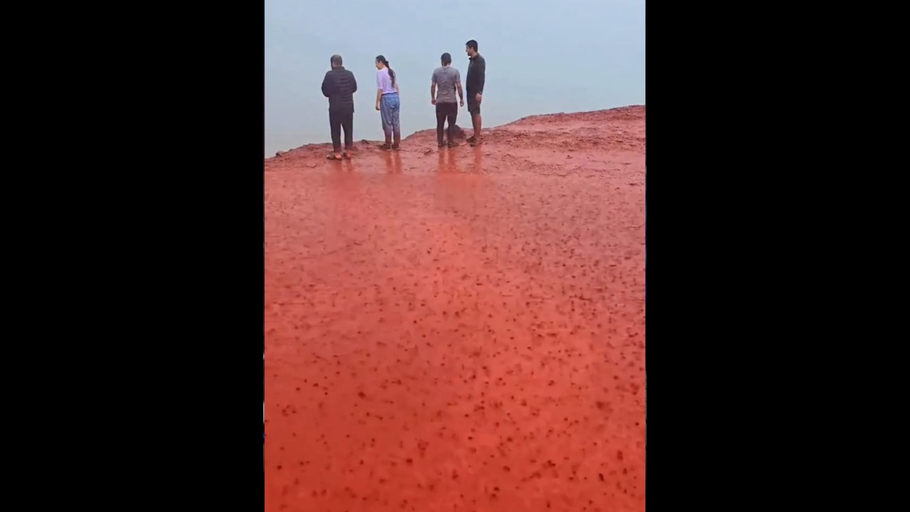 Did you know it once rained blood? 🤯