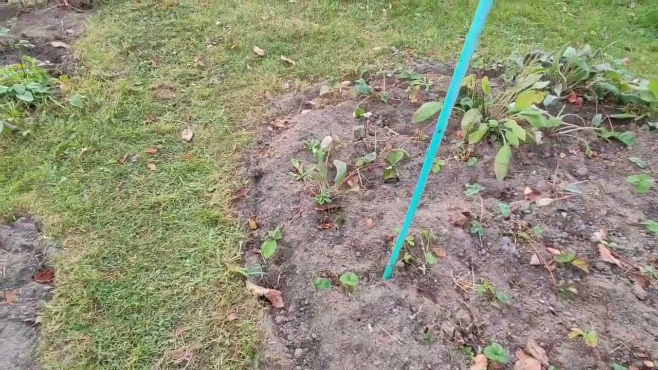 ХОРОШО НА ДАЧЕ 😊