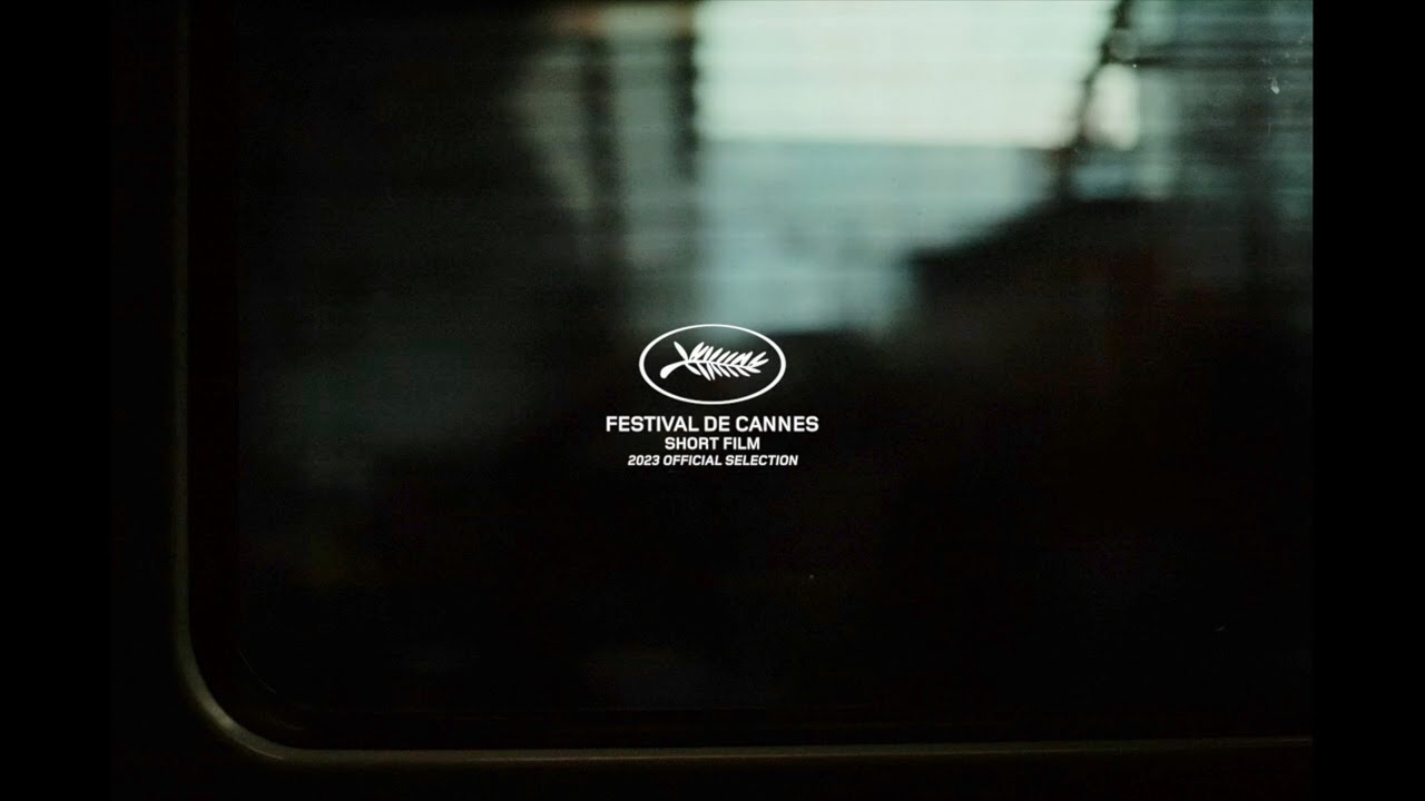 Polish Short Films on Piff 2025