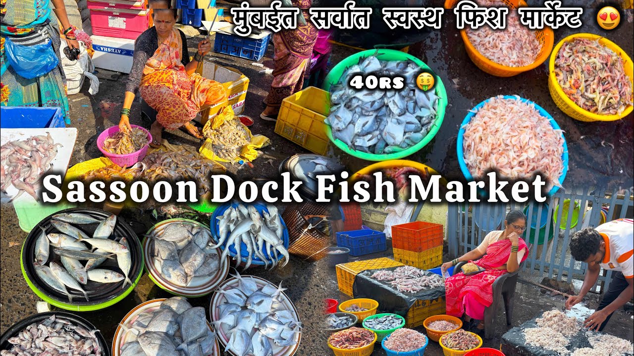 Sassoon Dock Fish Market 😍❤️ | Colaba Wholesale Fish Market ❣️| Mumbai’s Cheapest