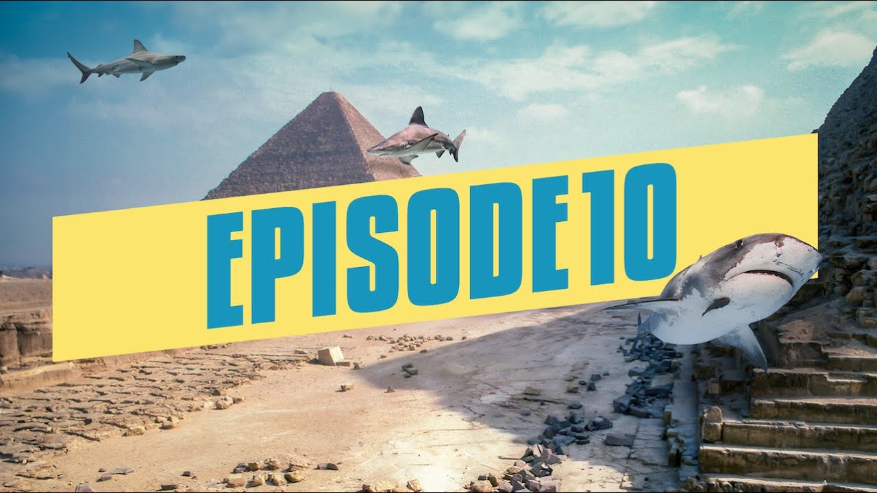 ليه زي هينافس البراندات العالمية؟ [شارك تانك مصر]