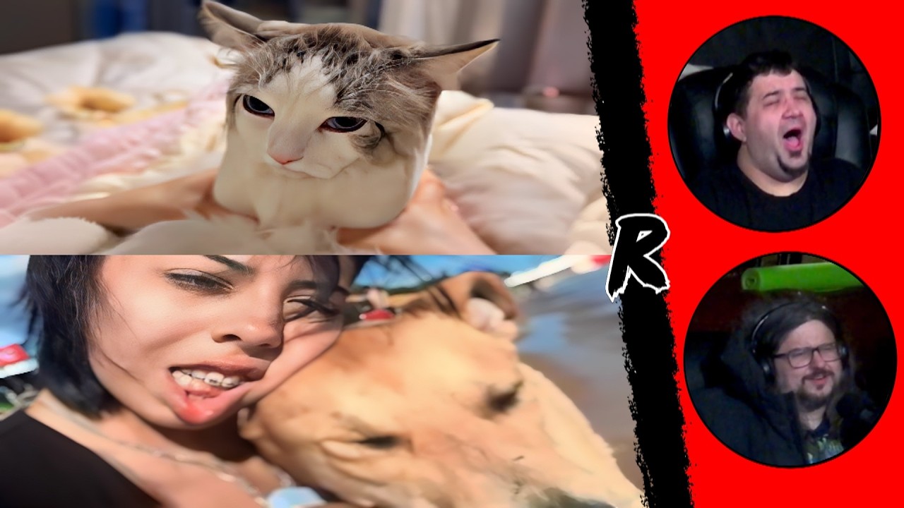 UNUSUAL MEMES COMPILATION V354 & V355 | RENEGADES REACT #memes #dankmemes