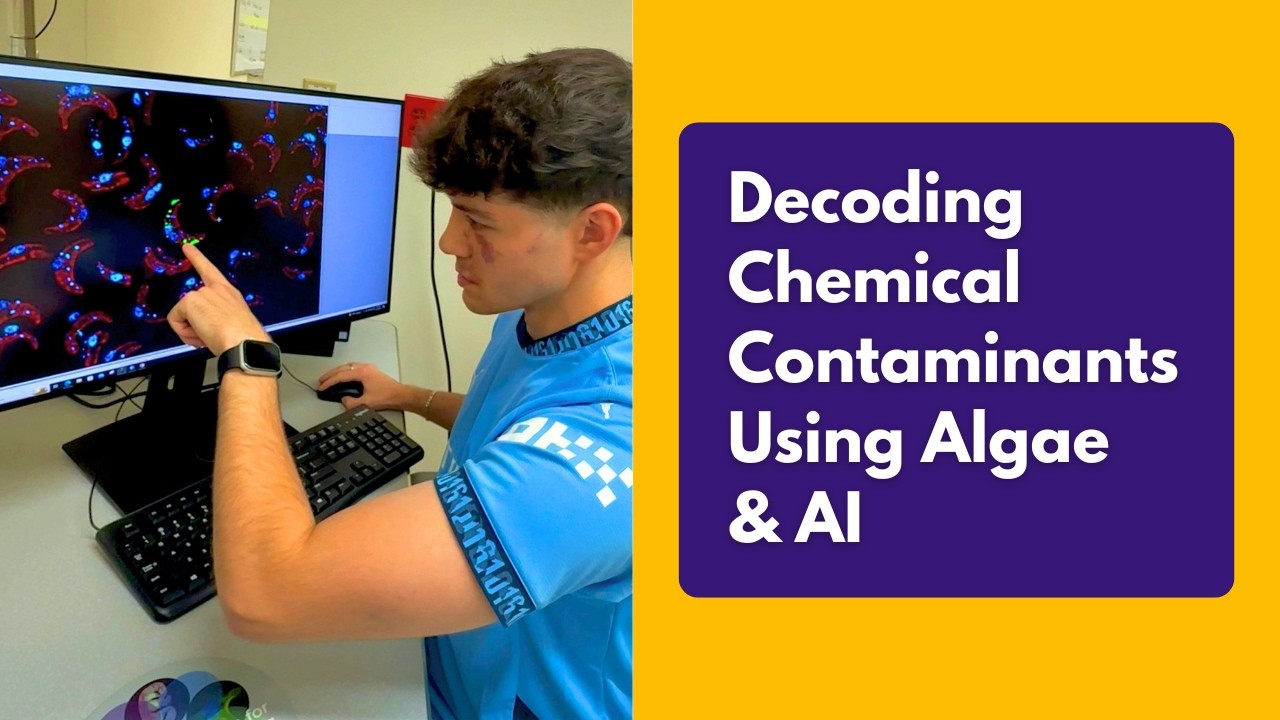 This Smart Biosensor Uses Algae & AI to Decode Chemical Contaminants | UWM Startup Spotlight