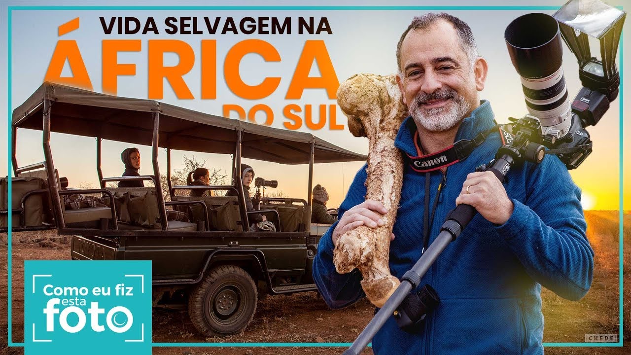 Como fazer fotos em Safári? Fotografando na África do Sul