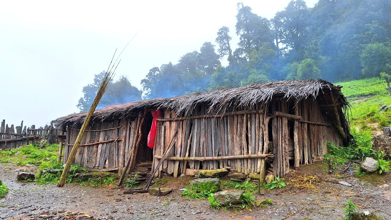 This is a best himalayan village life during the heavy rainyday pure organic nepali shepherds lifes 