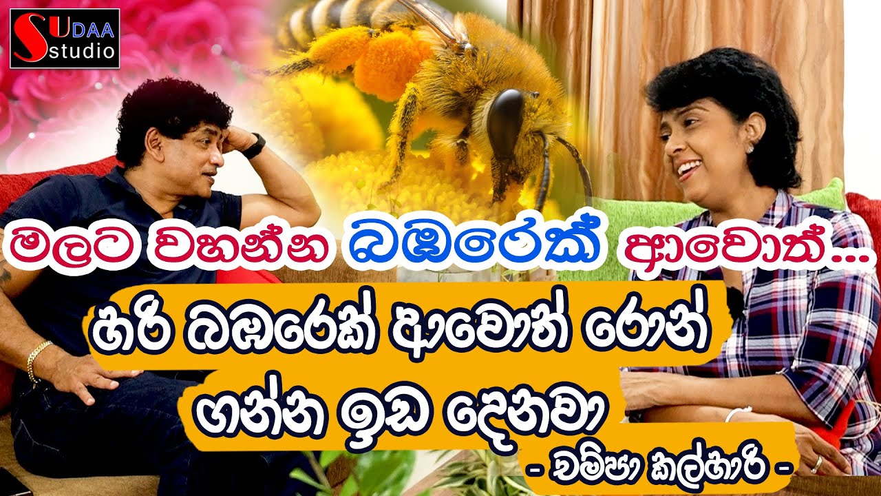 මලට වහන්න බඹරෙක් ආවොත්..... හරි බඹරෙක් ආවොත් රොන්ගන්න ඉඩ දෙනවා - - චම්පා කල්හාරි - Sudaa Creation