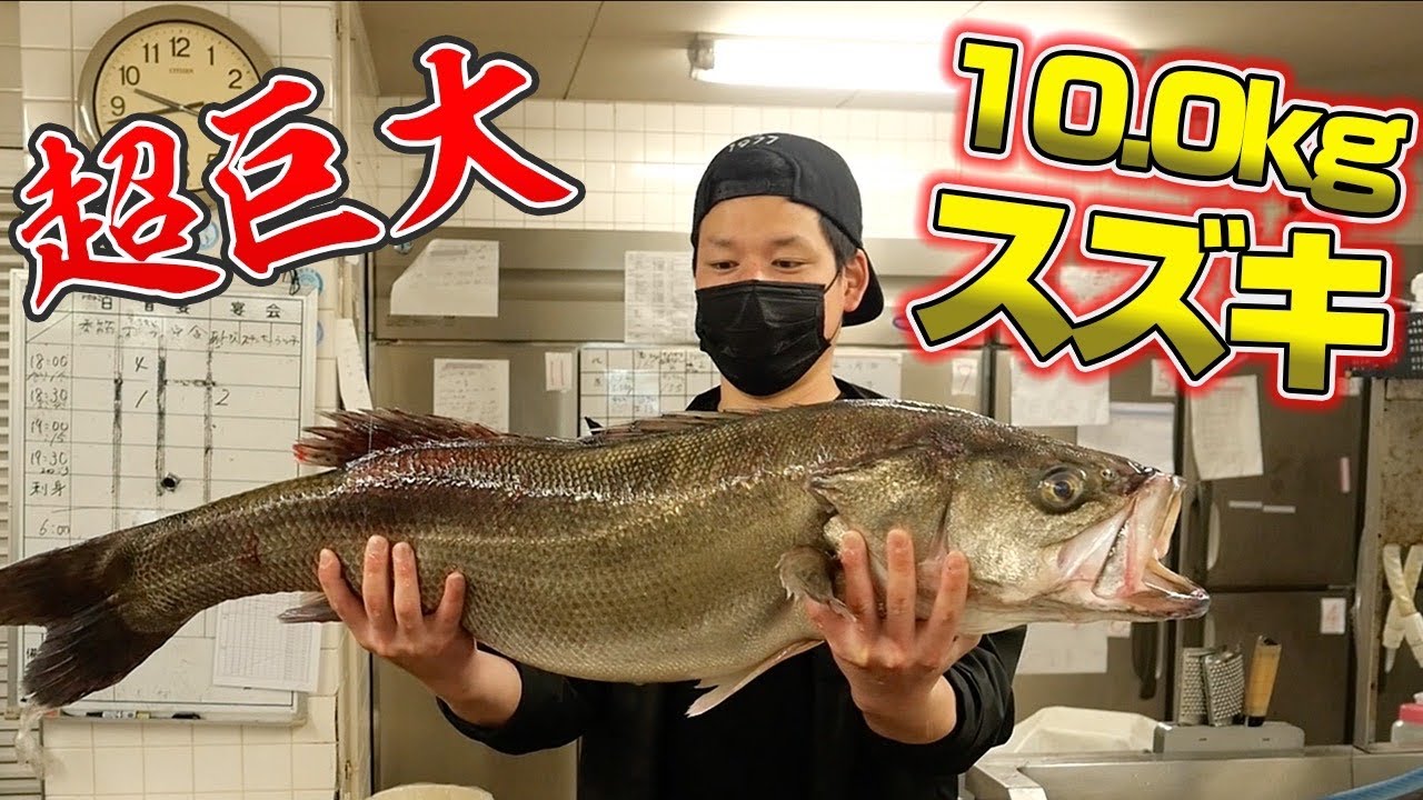 小豆島の巨大化しすぎたスズキを解体して食べてみると...
