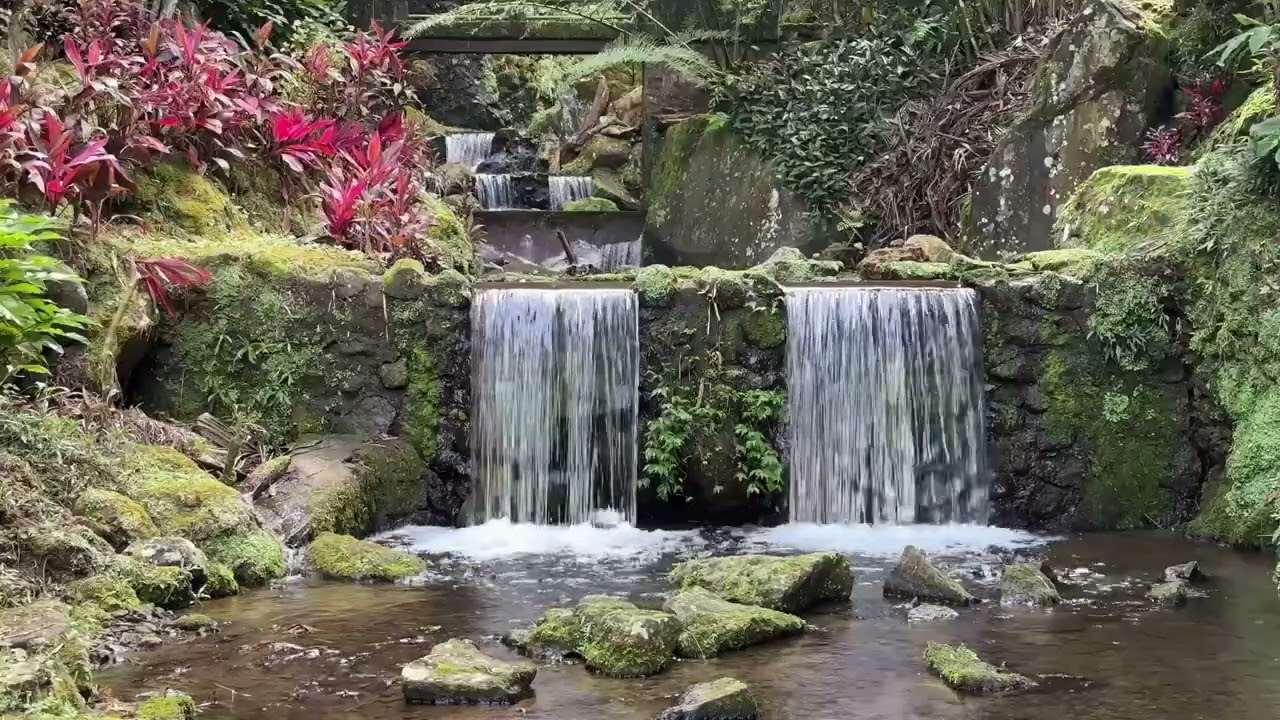 Soothing River Sounds for Anxiety Relief: Perfect for Relaxation and Stress Relief 