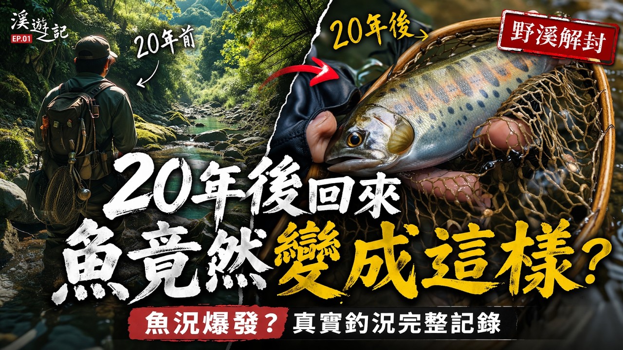 溪遊記-挑戰野溪封溪之旅20年禁釣解封，野溪魚況真實記錄