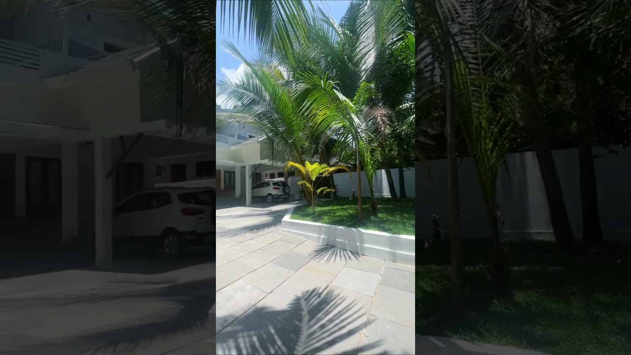 Befor vs After tandur Stone #tandur #naturalstone #paving #shorts #exterior #pavingstone #banglore