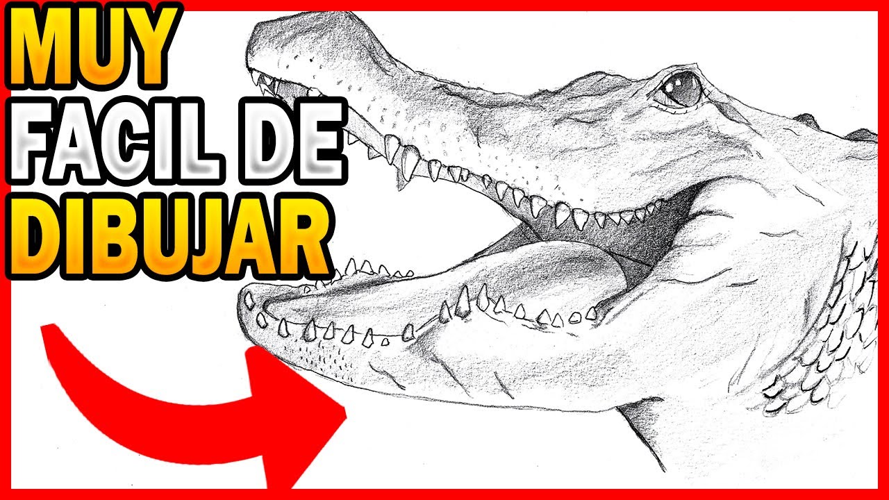 🥇 como 🅳🅸🅱🆄🅹🅰🆁 un COCODRILO realista paso a paso ✅ cómo dibujar un cocodrilo fácil y rápido