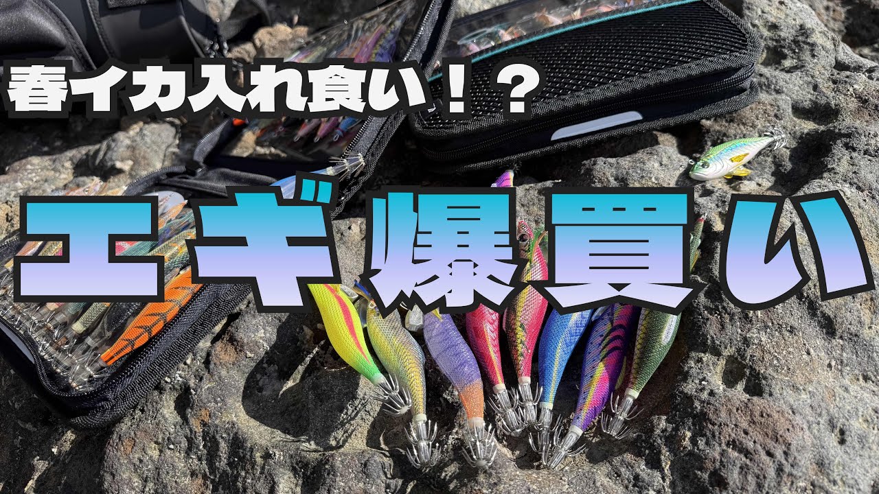 ［春イカ攻略］ 春に釣れるエギ爆買い　