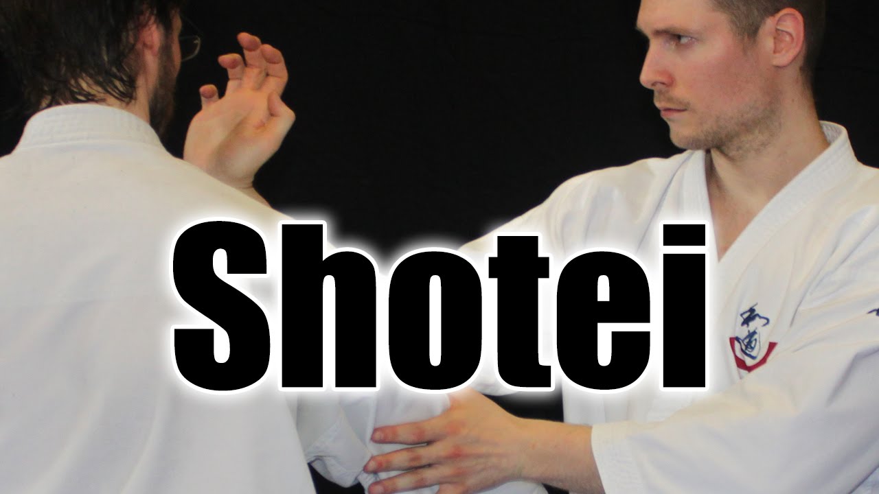 Ways to use Shotei, the palmheel strike