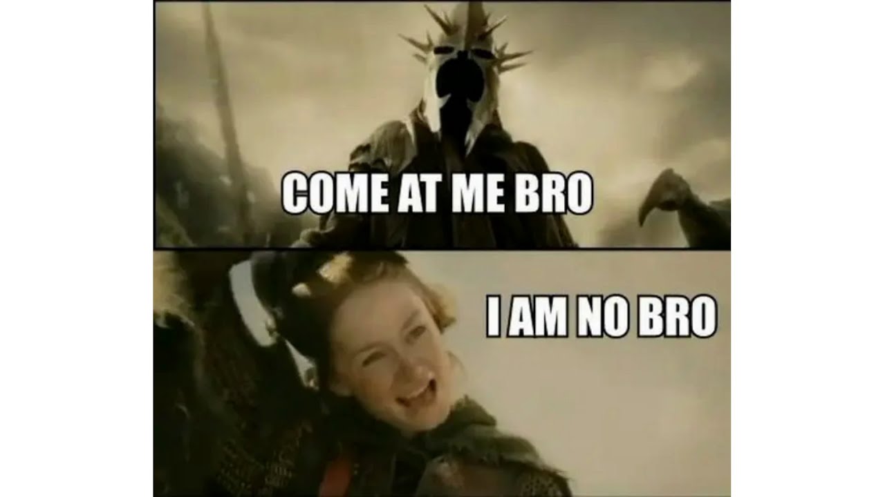 A Fellowship of Memes For Lord Of The Rings Fans 