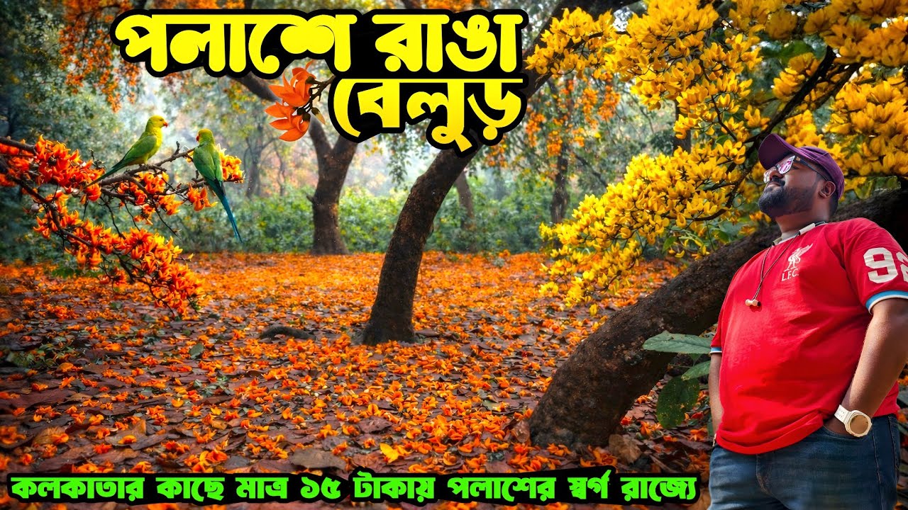 Belur Palash Bagan | Palash Garden Belur | Palash Bagan Near Kolkata | One Day Tour Near Kolkata |