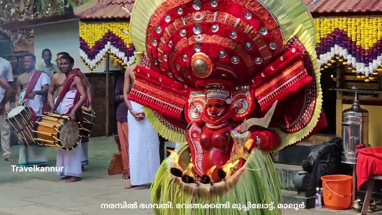Narambil Bhagavathy Theyyam നരമ്പിൽ  ഭഗവതി തെയ്യം      വേങ്ങക്കണ്ടി  മുച്ചിലോട്ടുകാവ്  മാലൂർ