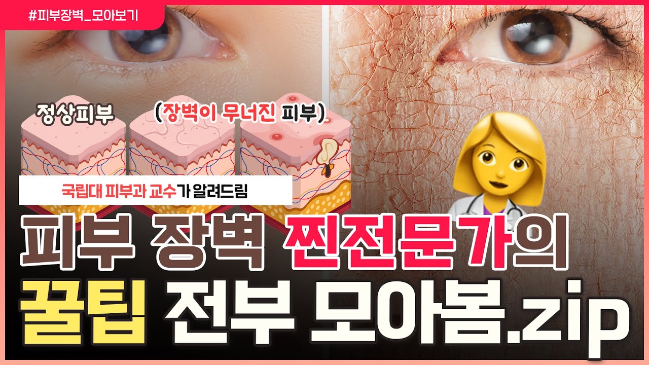 [피부장벽 몰아보기] 👩🏻‍⚕️대학병원 피부과 교수(한국피부장벽학회 이사장😎)의 '피부 장벽 지키는 꿀~팁🍯' 다~ 모아왔습니다 - [언니네피부과]