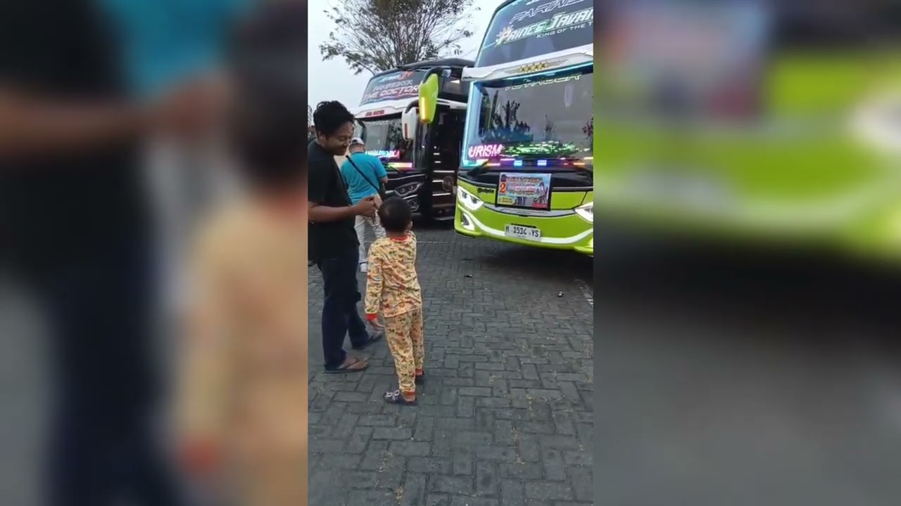 Kumpulan Video Basuri Bus Erika 
