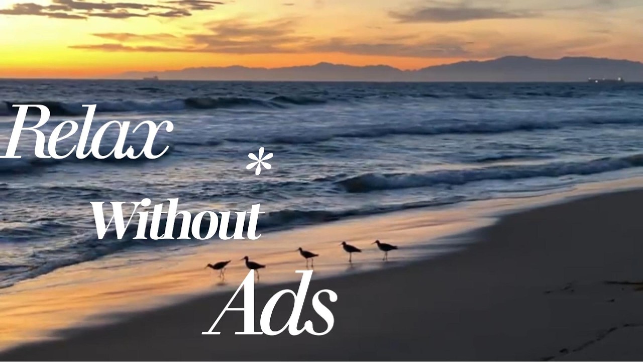 Sunset Beach Ambience | 5 Hours Ocean Waves & Natural Bird Sounds for Relaxation