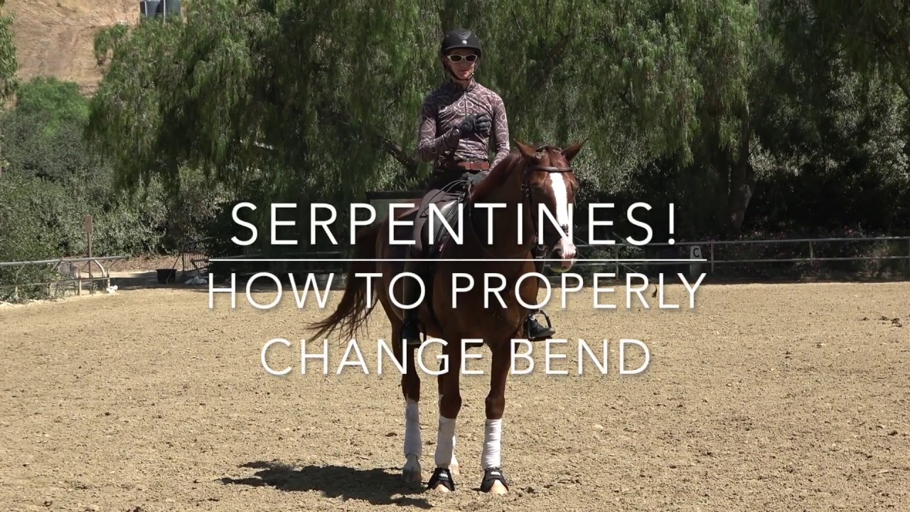 The Bending Aids: How to Correctly Ride Serpentines in Dressage!