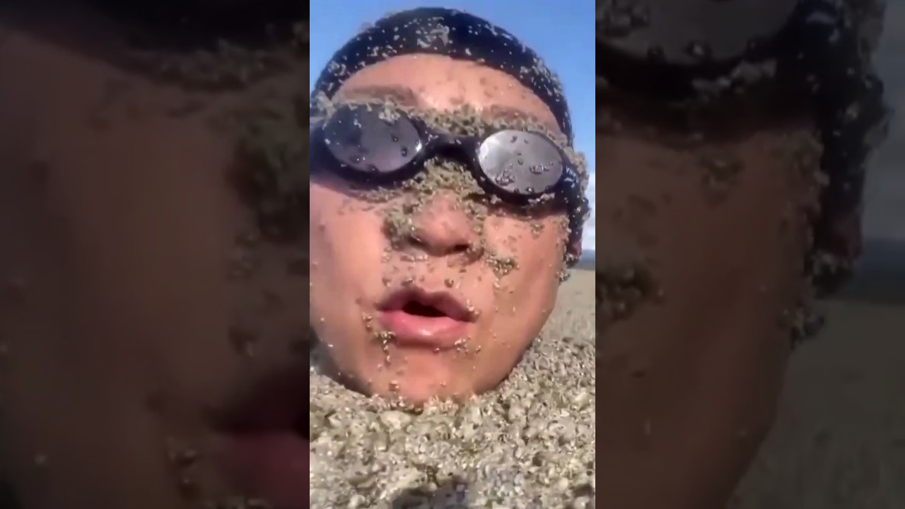 Pumice Stones Fake Land | Amazing Facts