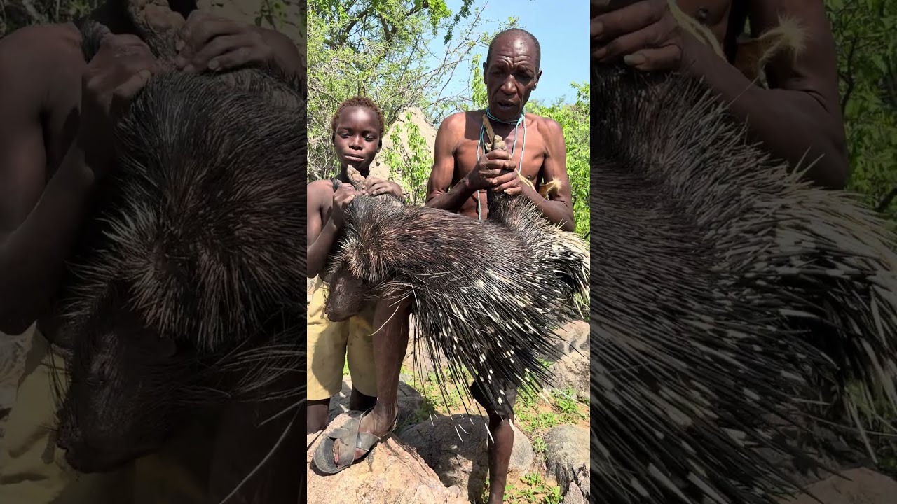 ⁠A wild catch, cleaned and ready — porcupine in its raw form.