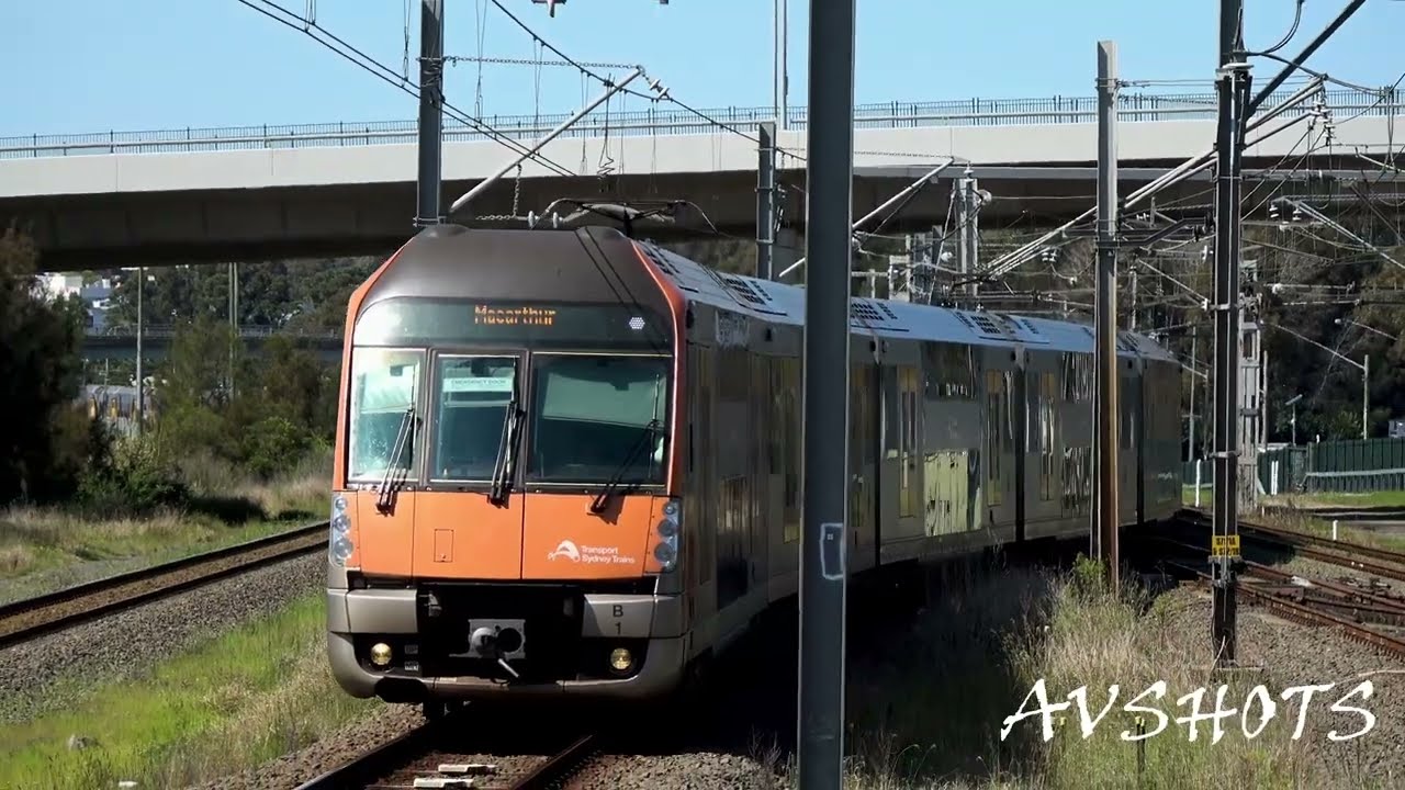 4K Macarthur Station NSW Train Spotting PASSENGER + FREIGHT + 3801 STEAM LOCOMOTIVE
