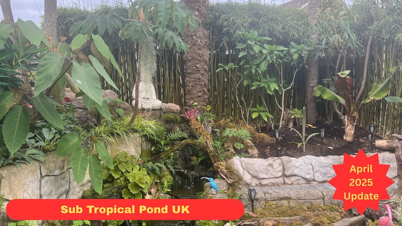Sub Tropical Garden April 25