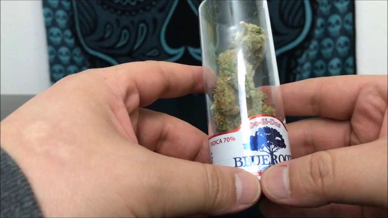 Do Si Dos By Blue Roots   Recreational Cannabis Review