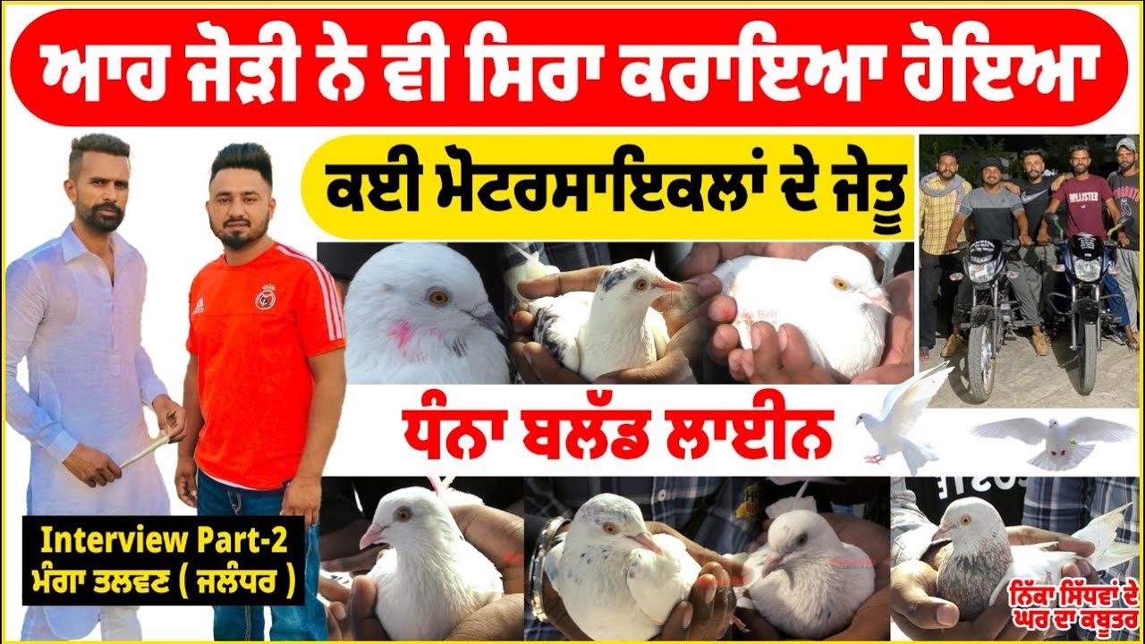 Interview Manga Talwan part 2  ( ਜਲੰਧਰ )  ਆਹ ਜੋੜੀ ਨੇ ਵੀ ਸਿਰਾ ਕਰਾਇਆ ਹੋਇਆ | ਧੰਨਾ ਬਲੱਡ ਲਾਈਨ