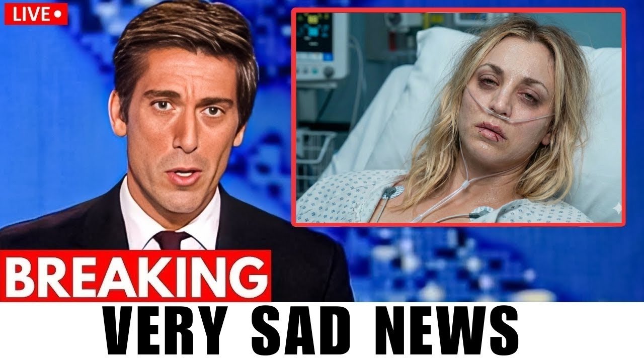 Remember Penny From TBBT? What Happened After Fame Shocked Everyone