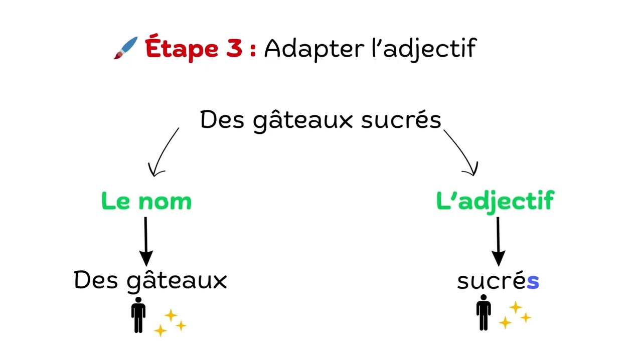 L’accord de l’adjectif qualificatif