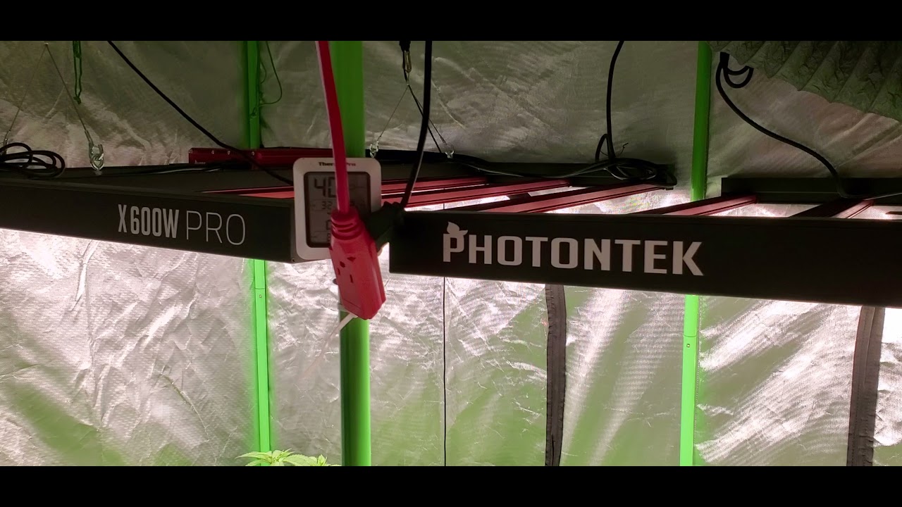 autopot XL 8 pot update
