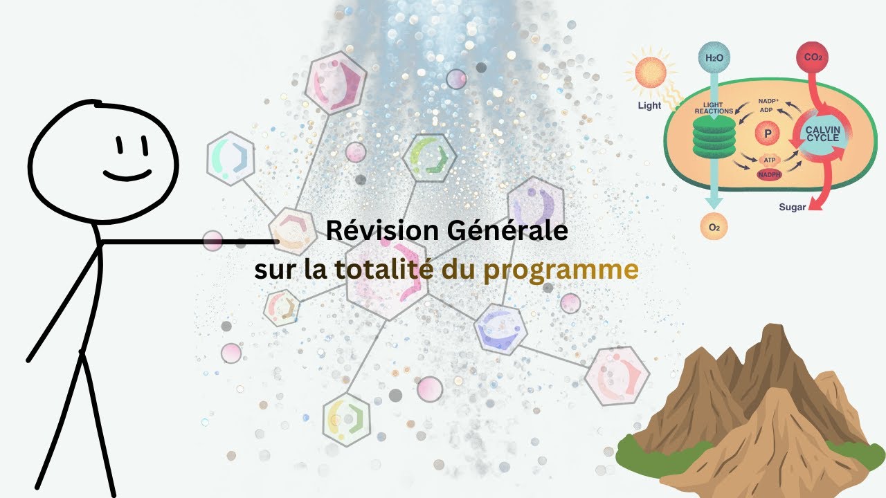 2ème Préparatoire - Sciences | Révison Générale