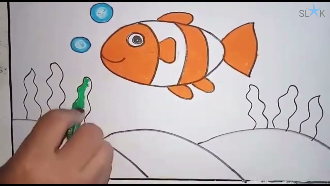 Menggambar dan mewarnai  ikan nemo