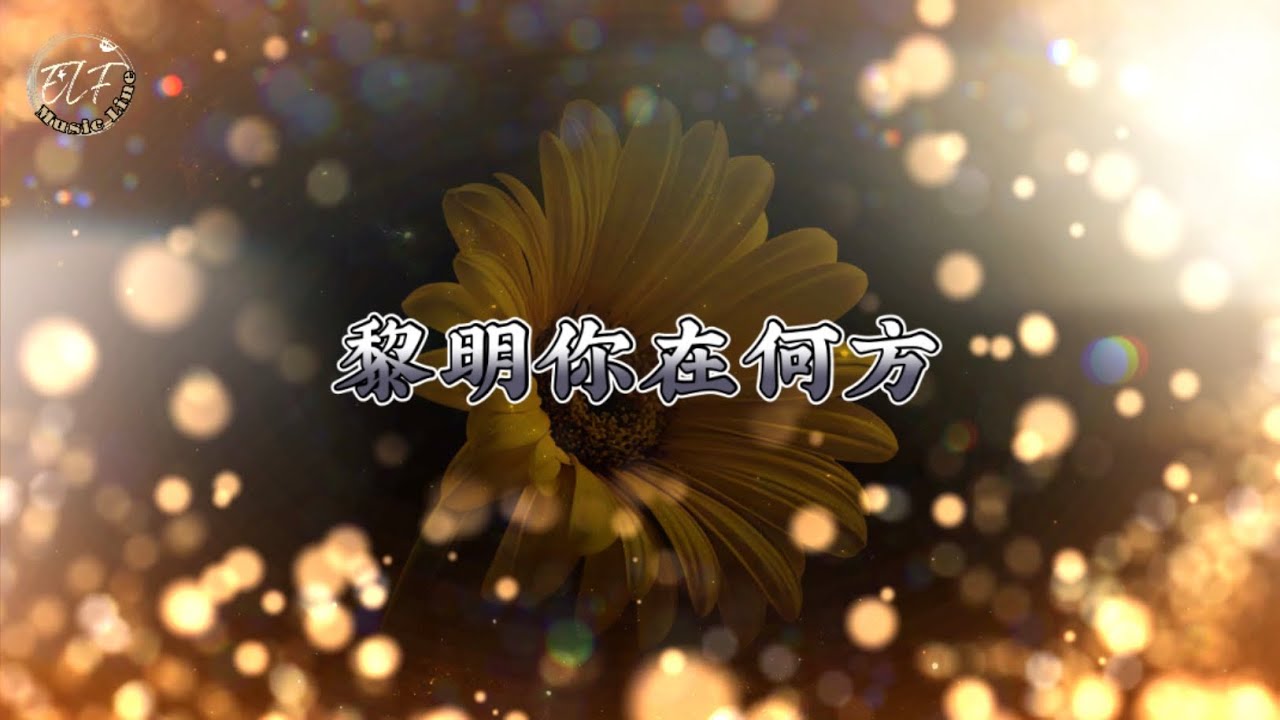 Music Line🍀 《黎明你在何方》 晴天何時可以再重來#music