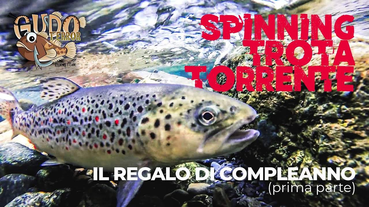 Come peschiamo a Spinning le trote  sul fiume Taro  (prima parte)