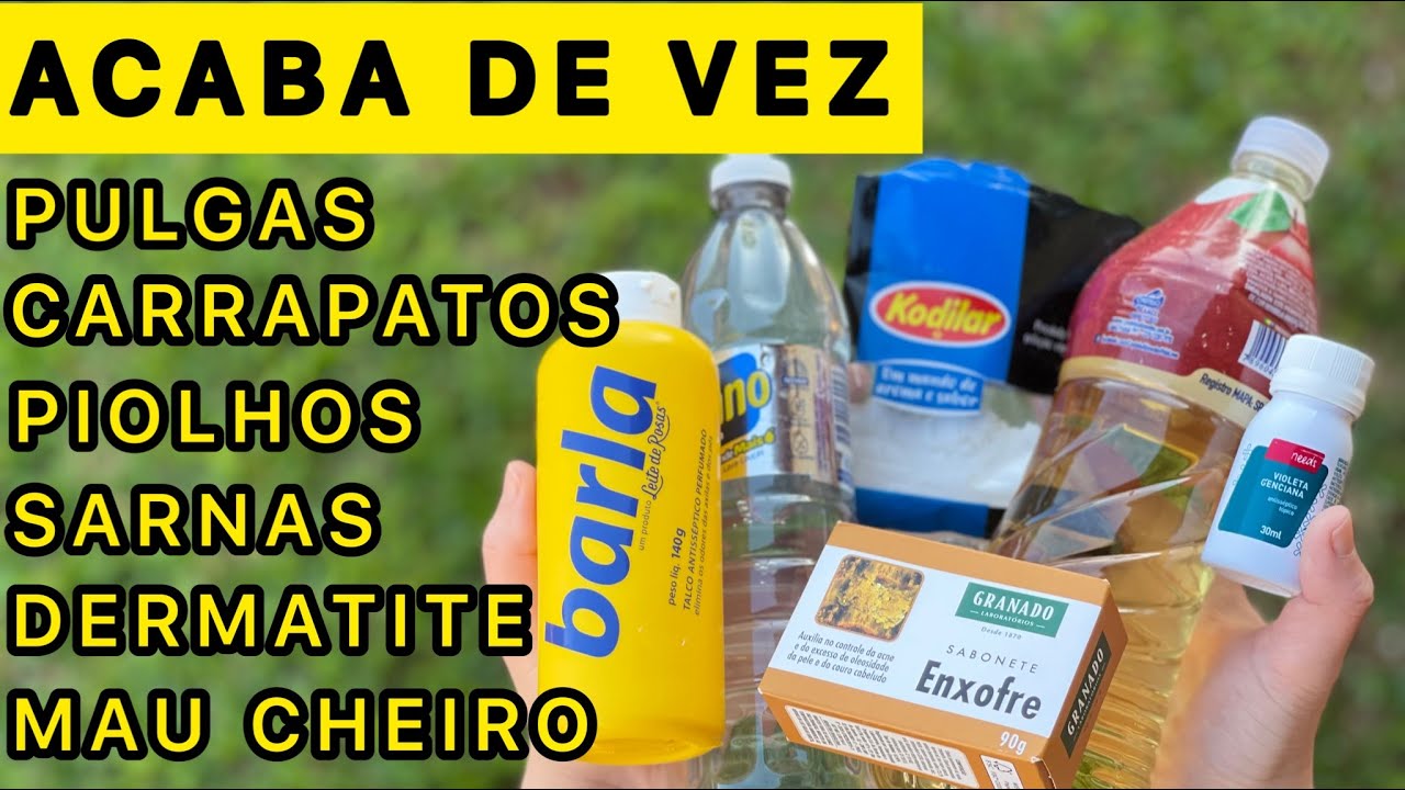 REMÉDIOS CASEIROS E NATURAIS CONTRA PULGAS, CARRAPATOS, SARNAS, DERMATITE E MAU CHEIRO EM CACHORROS
