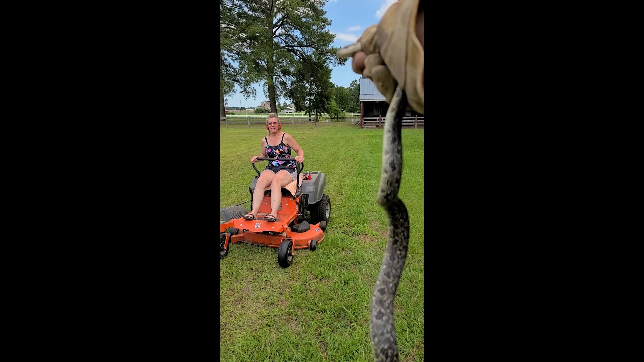 Relax, it's just a snake🐍 #reptiles #fail