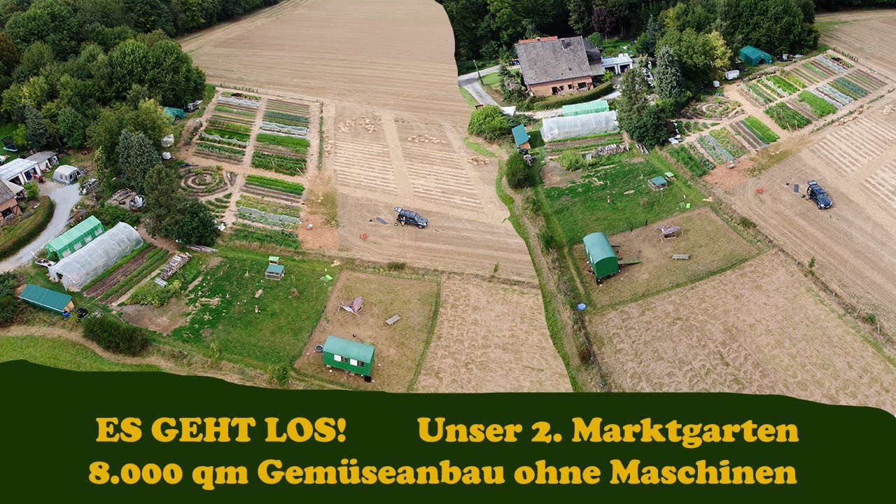 Unser 2. Marktgarten Gemüseanbau auf 8.000 qm