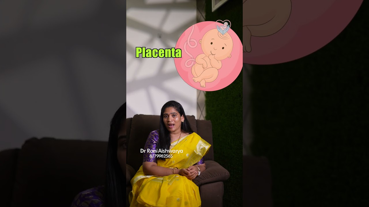 Artificial womb #drraniaishwarya #ai #science #pregnancy
