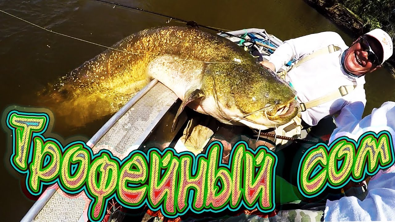 ТРОФЕЙНЫЙ СОМ на ДЖИГ! ВЫВАЖИВАНИЕ  РЕЧНОГО МОНСТРА! СУПЕР РЫБАЛКА на ГИГАНСКОГО СОМА!
