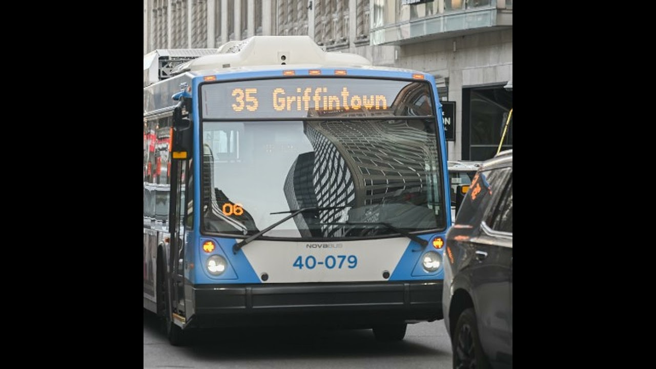 In Transit: Montreal transit user laments reliability issues with STM buses