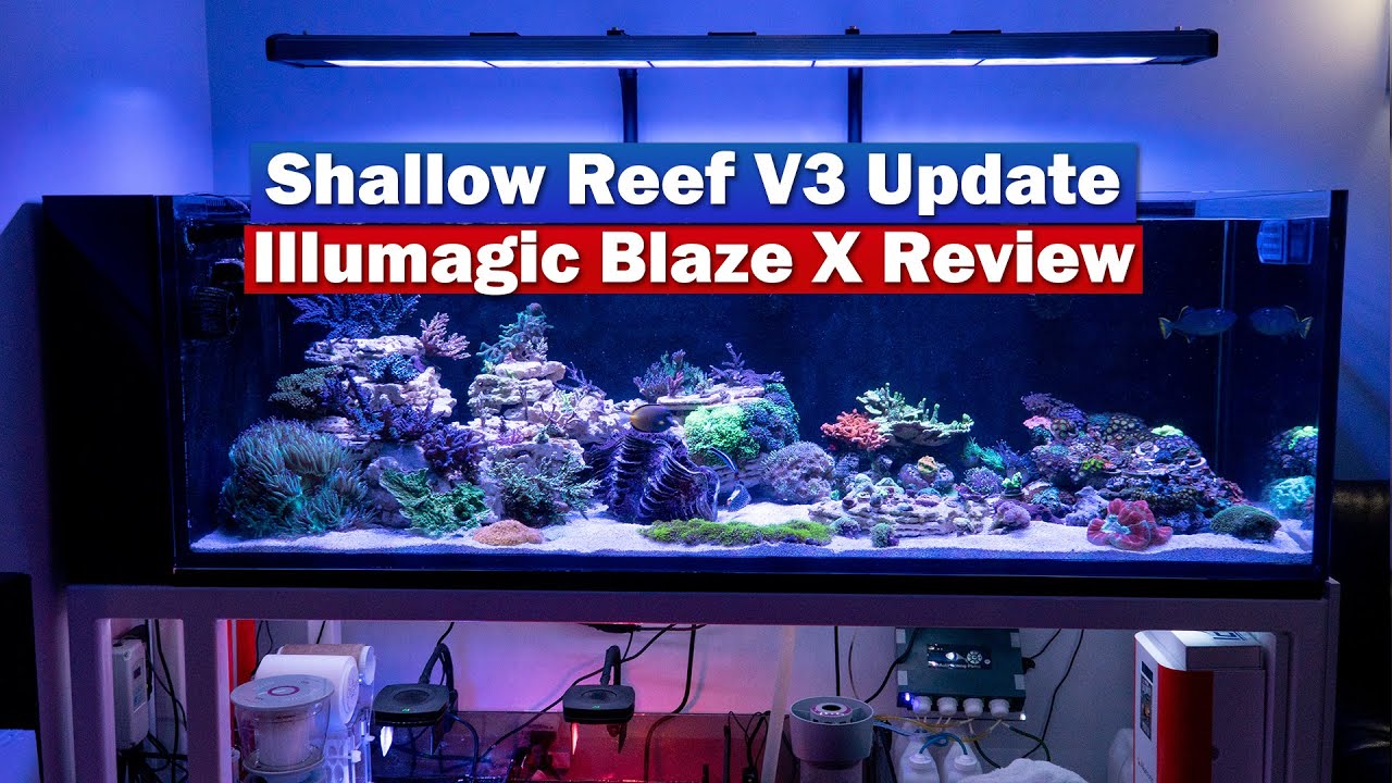 Shallow Reef Tank Tour (v3?!) and Illumagic Blaze X Review!  - Saltwater Aquarium Update