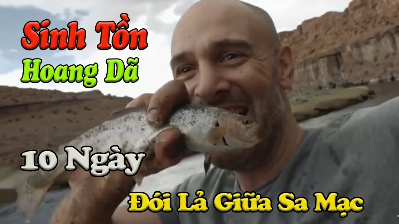 Một Mình Sinh Tồn Nơi Hoang Dã: 10 Ngày Đói Lả Giữa Sa Mạc – Anh Hói Vẫn Sống Sót!