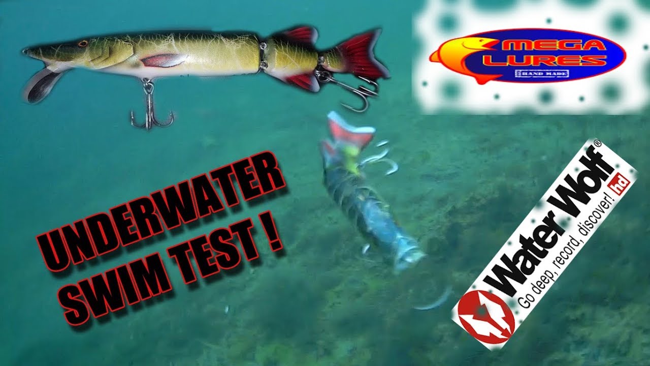 PIKE SWIMBAIT FISHING LURE (MEGA LURES SWIM TEST)