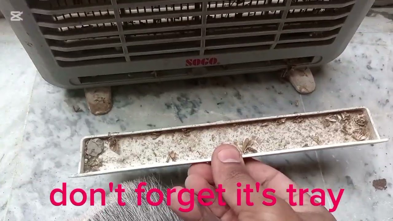 How to clean and empty your fly catcher at home DIY maintenance and reuse