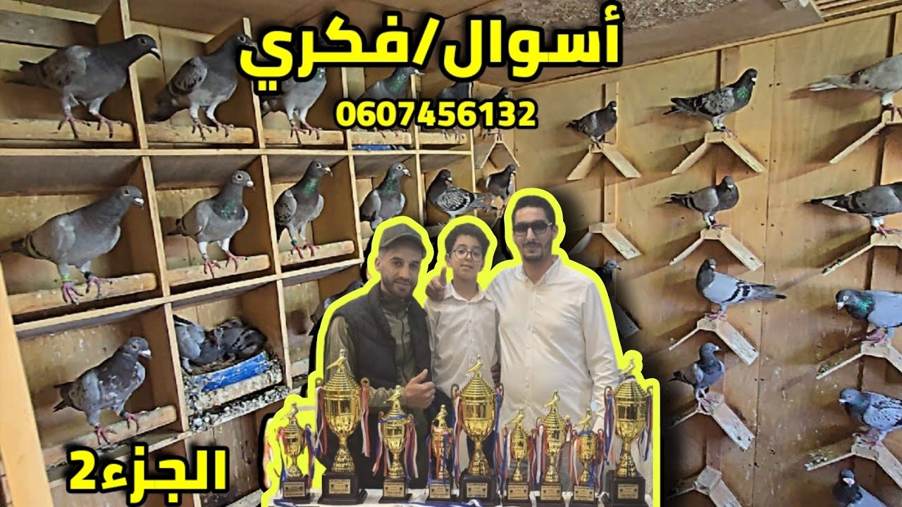 حمام من ذهب للبيع🏅🔥 للأبطال أسوال/فكري حمام إنتاج وابطال داخل الملتقى والفدرالية 0607456132